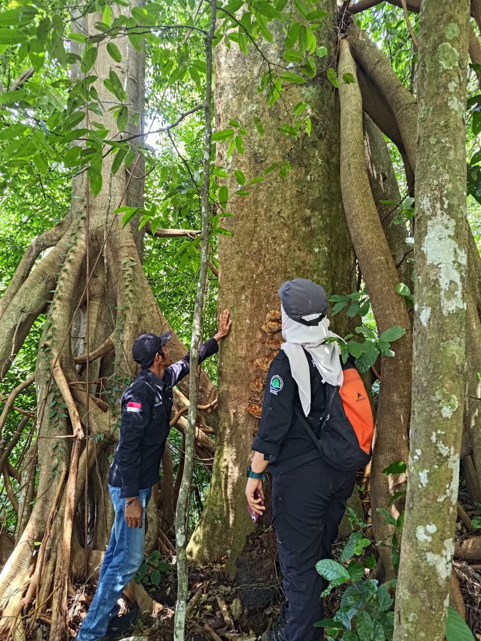 Monitoring Flora