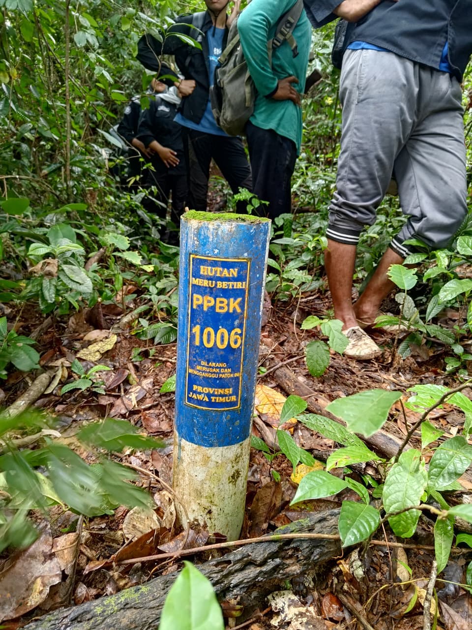 Patroli Kawasan